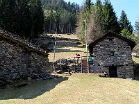 Frasgera  IMG 0757 - Copy